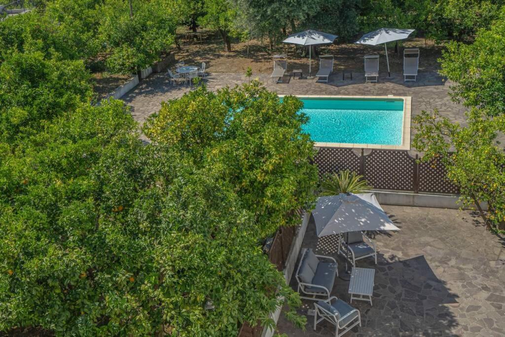 Casa Gege', For Up To 5 Guests, Shared Pool, Sorrento Center公寓 外观 照片